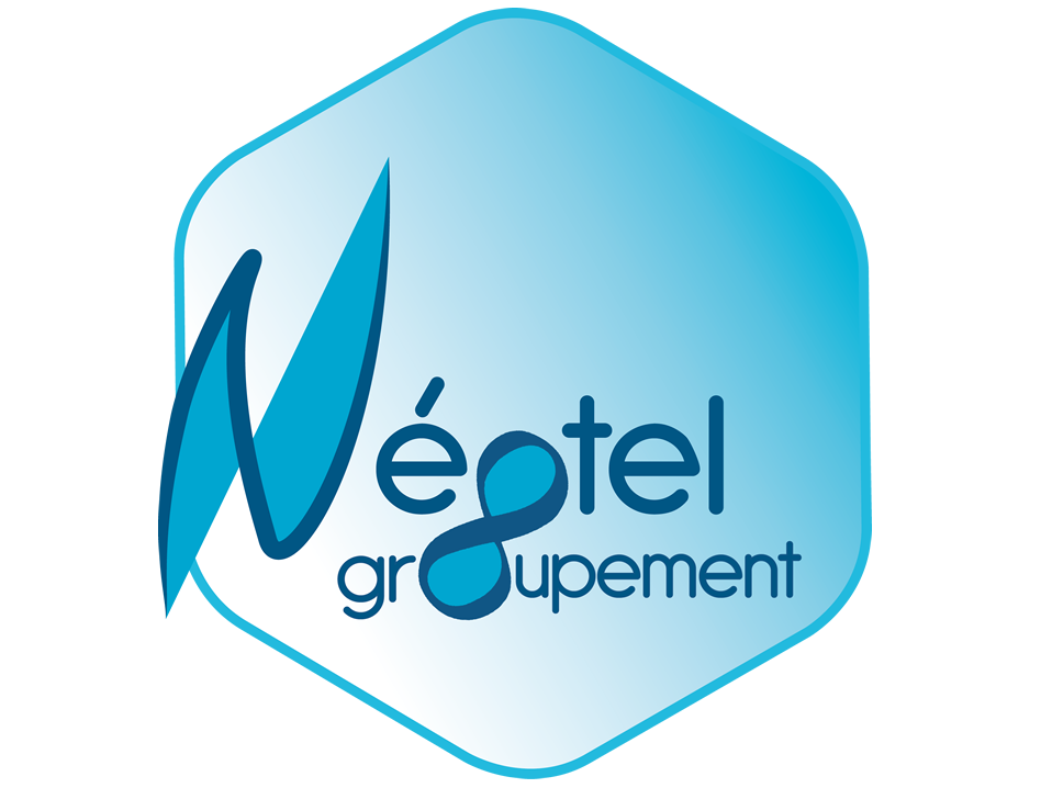 Logo société Négtel Groupement